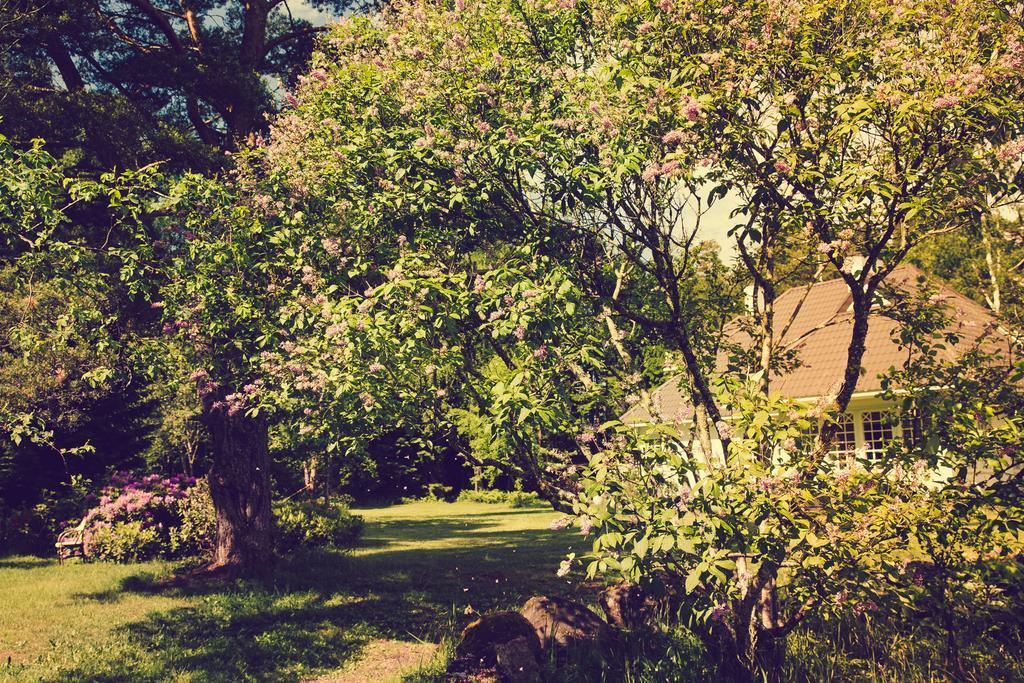 Adami Country Guesthouse Vainupea Dış mekan fotoğraf