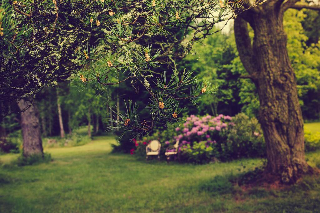 Adami Country Guesthouse Vainupea Dış mekan fotoğraf