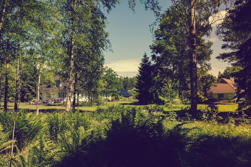 Adami Country Guesthouse Vainupea Dış mekan fotoğraf