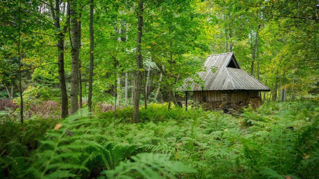 Adami Country Guesthouse Vainupea Dış mekan fotoğraf