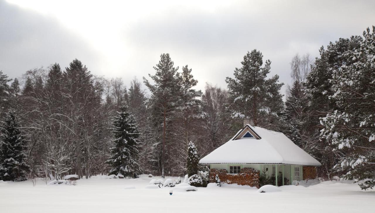 Adami Country Guesthouse Vainupea Dış mekan fotoğraf